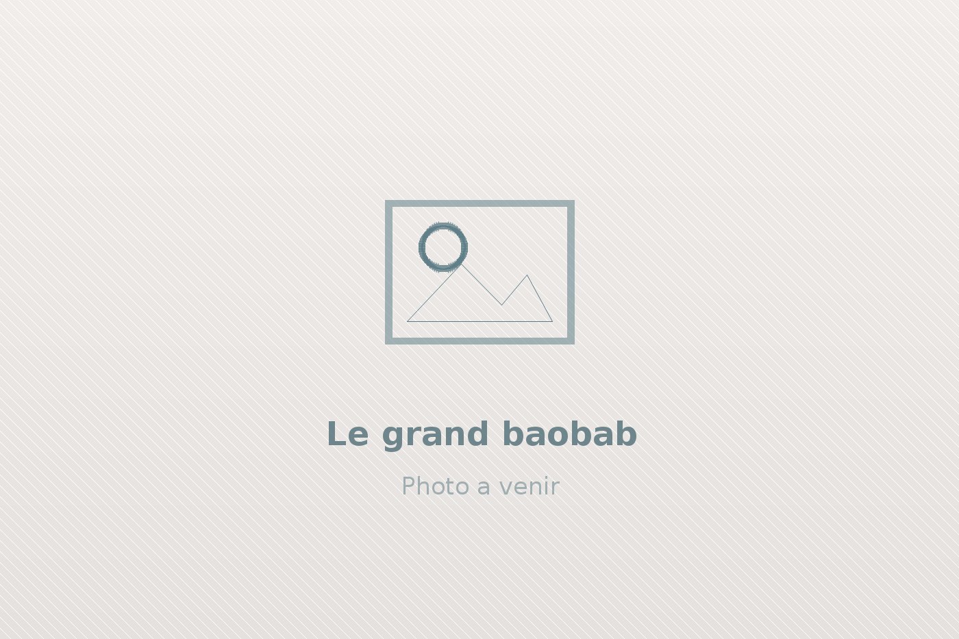 Le grand baobab